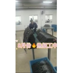 浙江江山電熱棒廠  長白班～兩班倒   男18-55，女18-50周歲