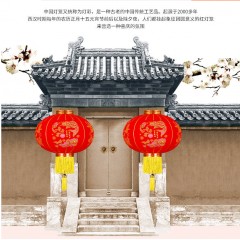 大紅燈籠 2020新款燈籠掛飾新年春節(jié)過年大門口大紅燈籠室內(nèi)戶外/個(gè)